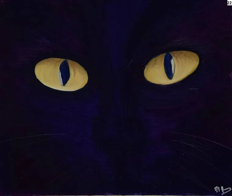 Peinture d'un regard de chat noir aux yeux jaunes - Majuwa
